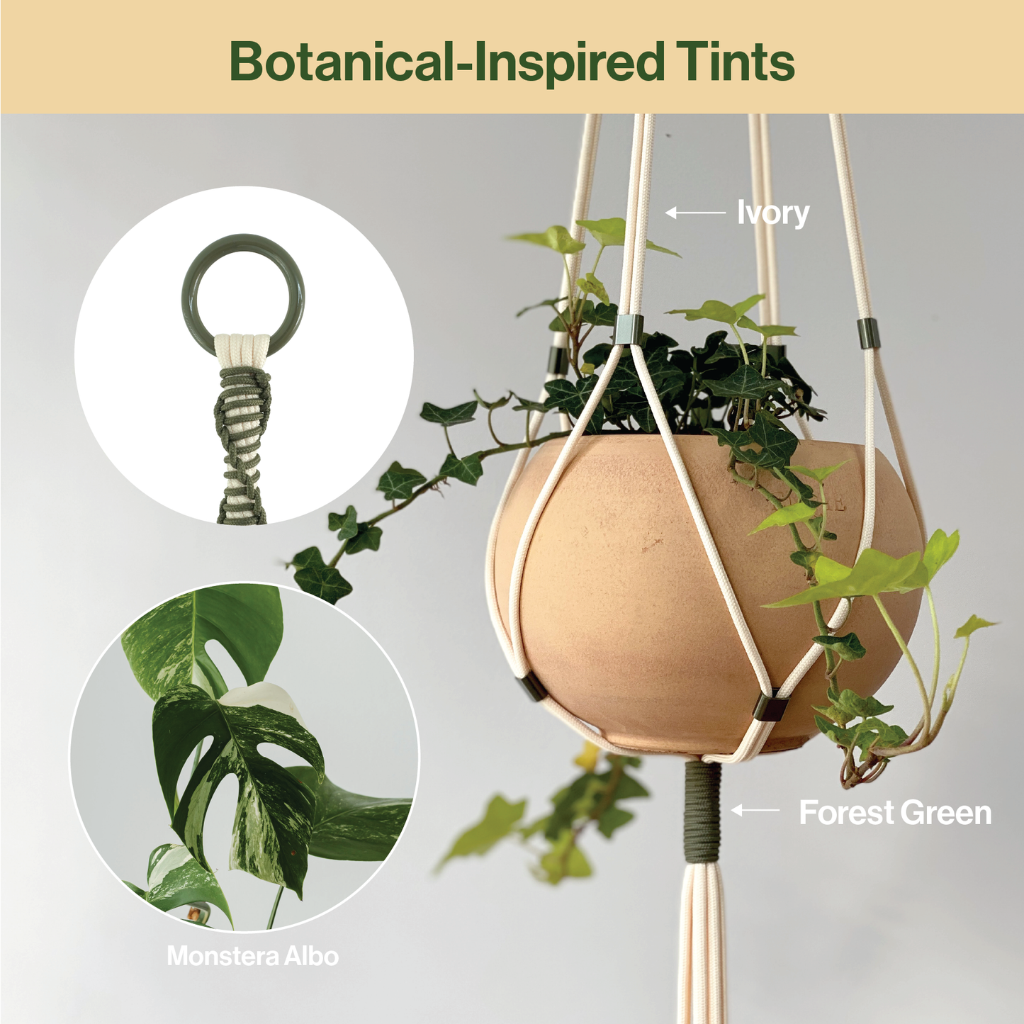 LET BE 2 Packs Macrame Plant Hanger Set of 2 with 4 Hooks (Ivory & Forest Green)