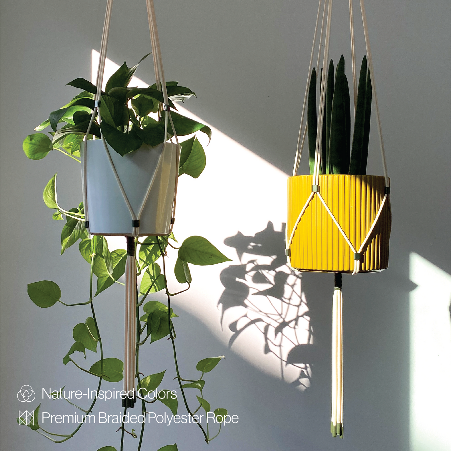 LET BE Macrame Kits for Beginners 3 Set of Plant Hangers DIY Kit(Ivory*Forest Green)