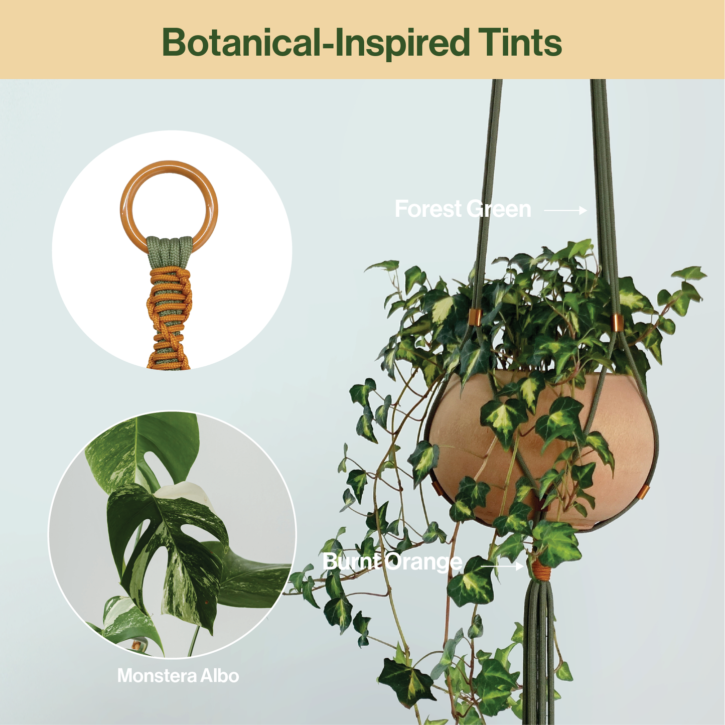 LET BE 2 Packs Macrame Plant Hanger Set of 2 with 4 Hooks (Forest Green & Burnt Orange)
