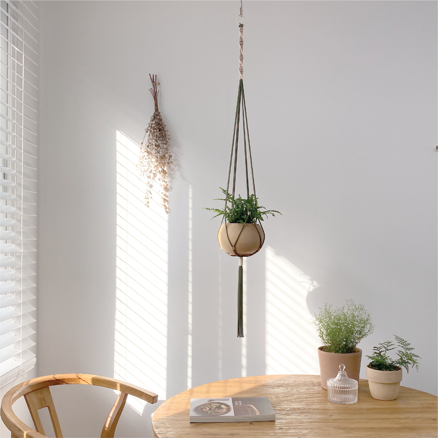 LET BE Macrame Plant Hanger set of 1 with Screw Hook(Forest Green* Ivory)