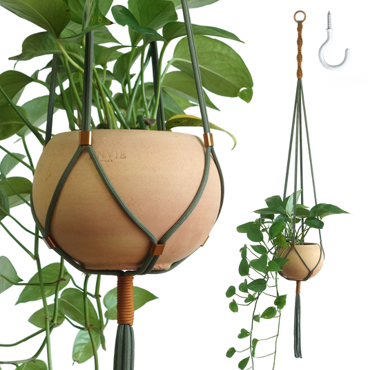 LET BE Macrame Plant Hanger set of 1 with Screw Hook(Forest Green* Burnt Orange)