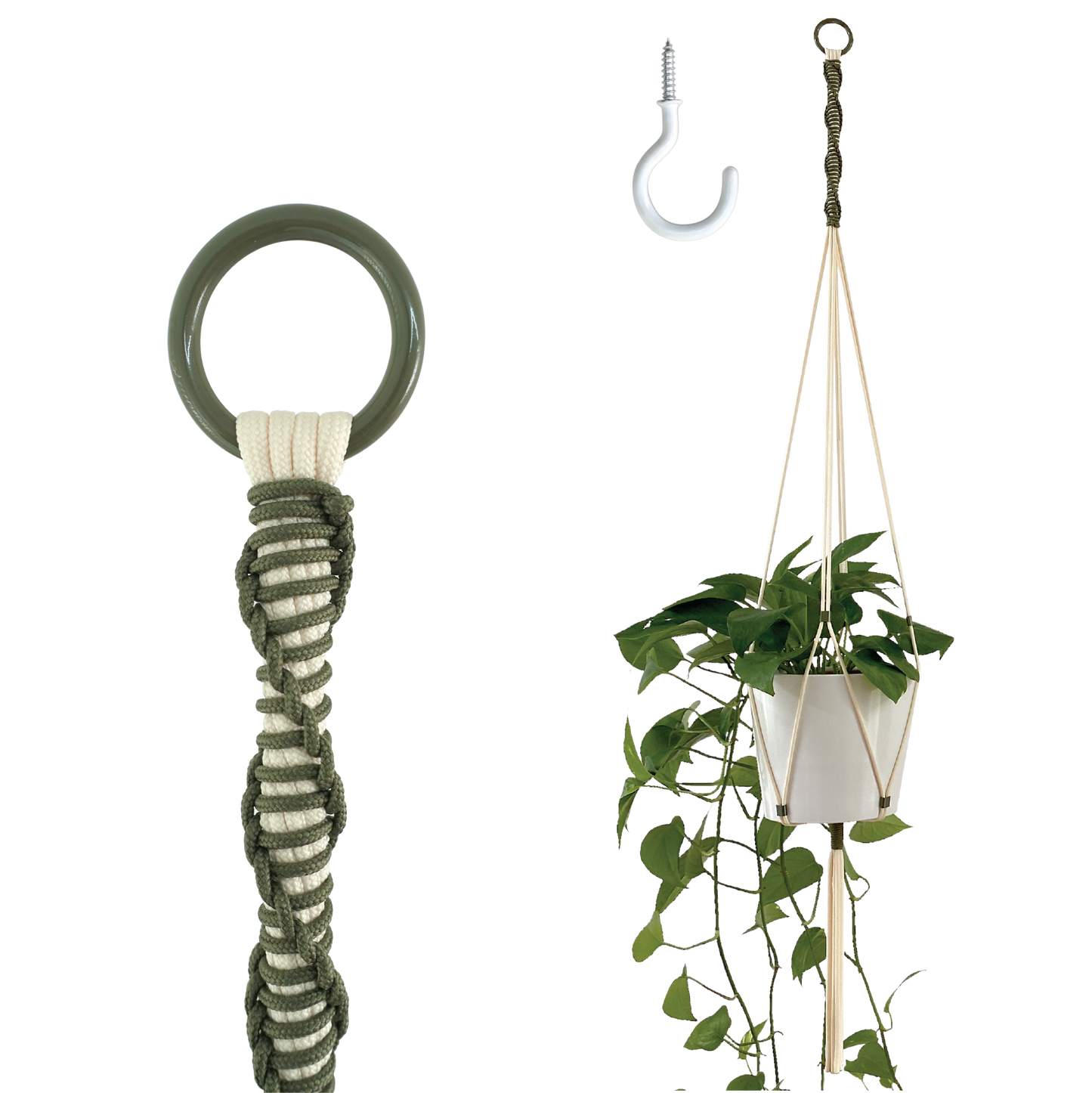 Hanging plant holder with a plant on a white background