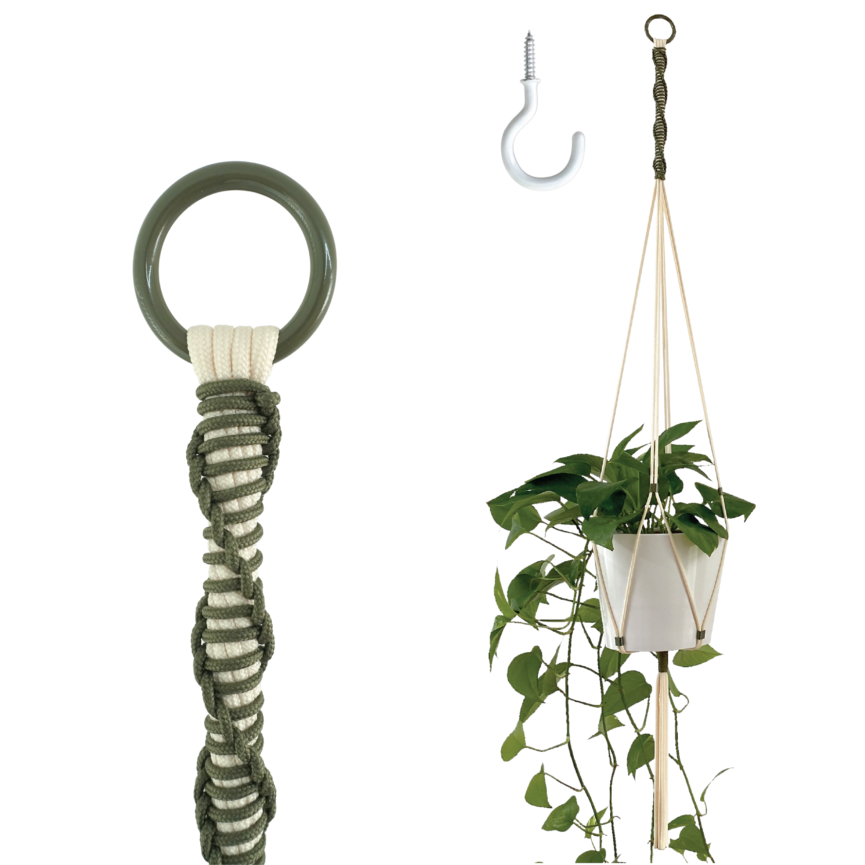Hanging plant holder with a plant on a white background