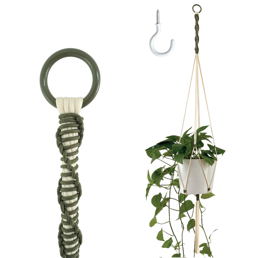 Hanging plant holder with a plant on a white background